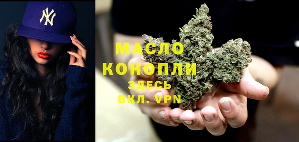 молекула духа Каменка