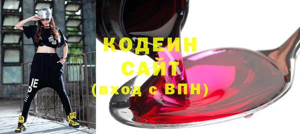 молекула духа Каменка