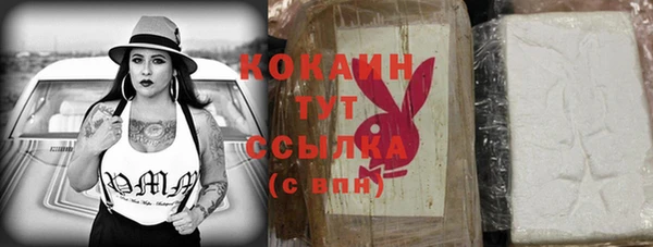 молекула духа Каменка