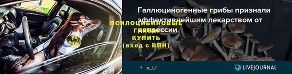 мескалин Касимов