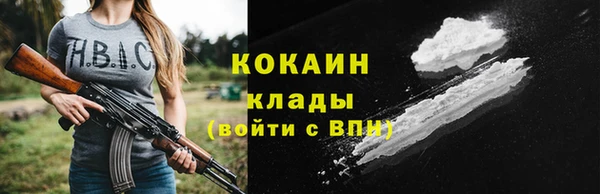 молекула духа Каменка