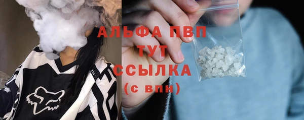 молекула духа Каменка