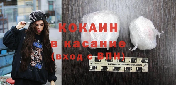 молекула духа Каменка