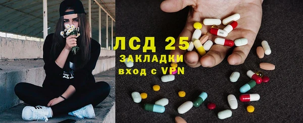 молекула духа Каменка