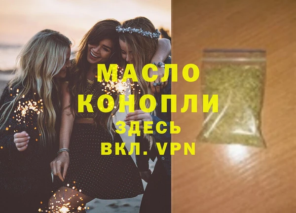 молекула духа Каменка