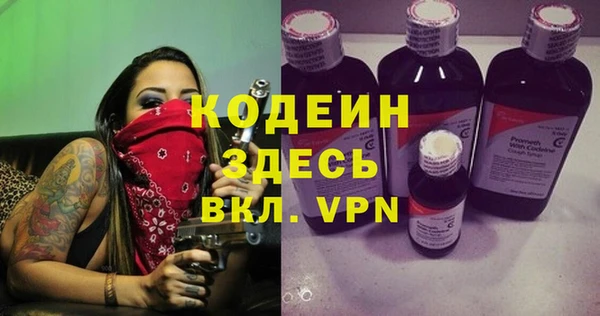 молекула духа Каменка