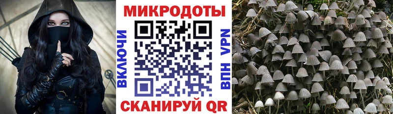 Галлюциногенные грибы мицелий  Купить закладки  Котельнич 