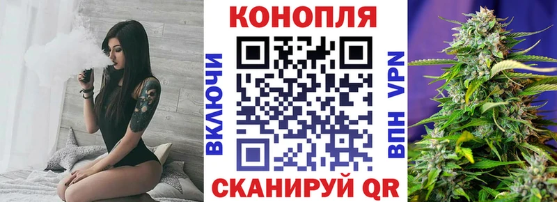 Конопля OG Kush  Купить закладки  Котельнич 